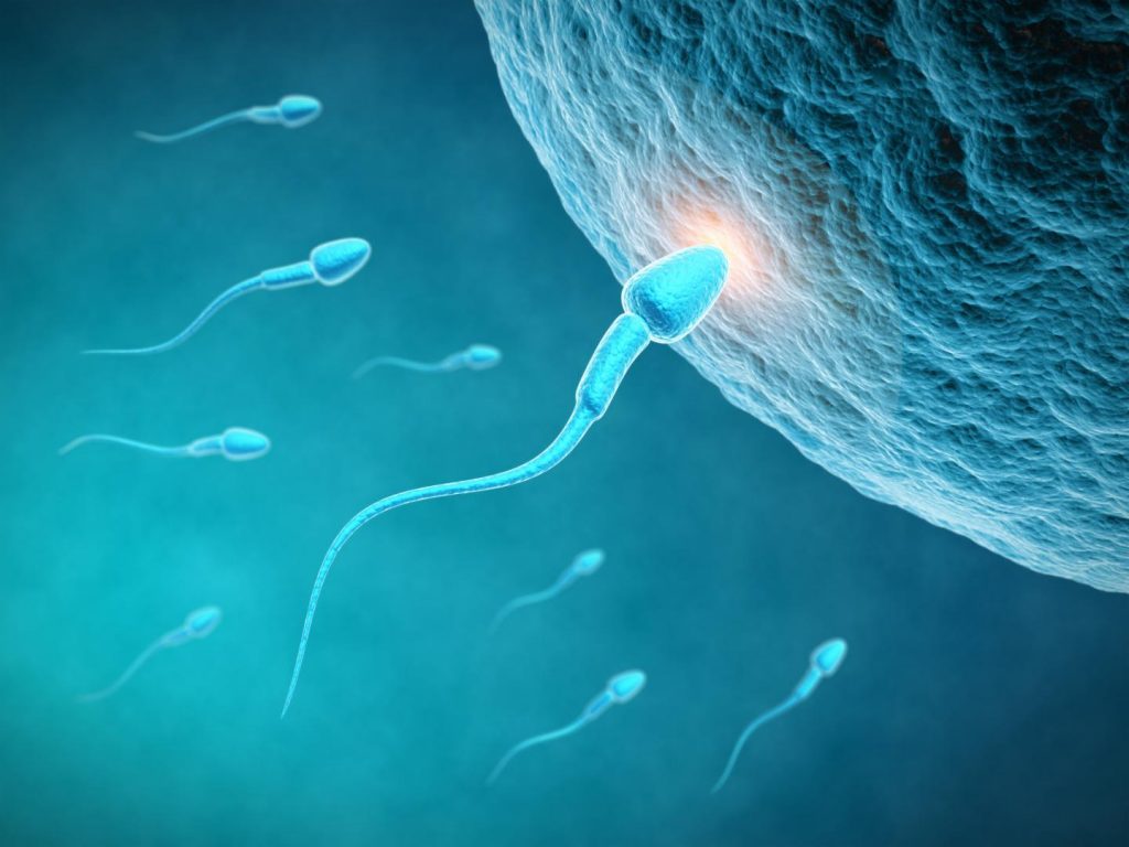 How To Increase Sperm Count - Other Ways to Prevent Low Sperm Count or How to Increase Sperm Count