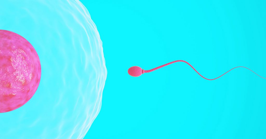 What Happens If We Release Sperm Daily Is Wasting Sperm Bad