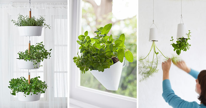 How to Hang Plants from the Ceiling Without Drilling